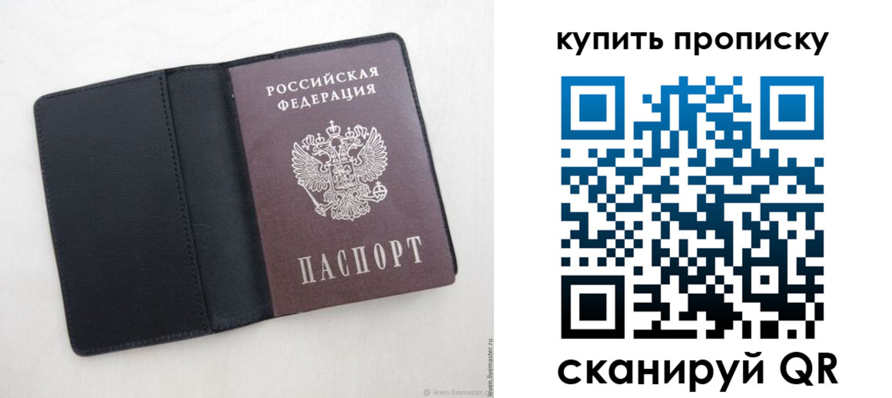 прописка поиск в Ершове